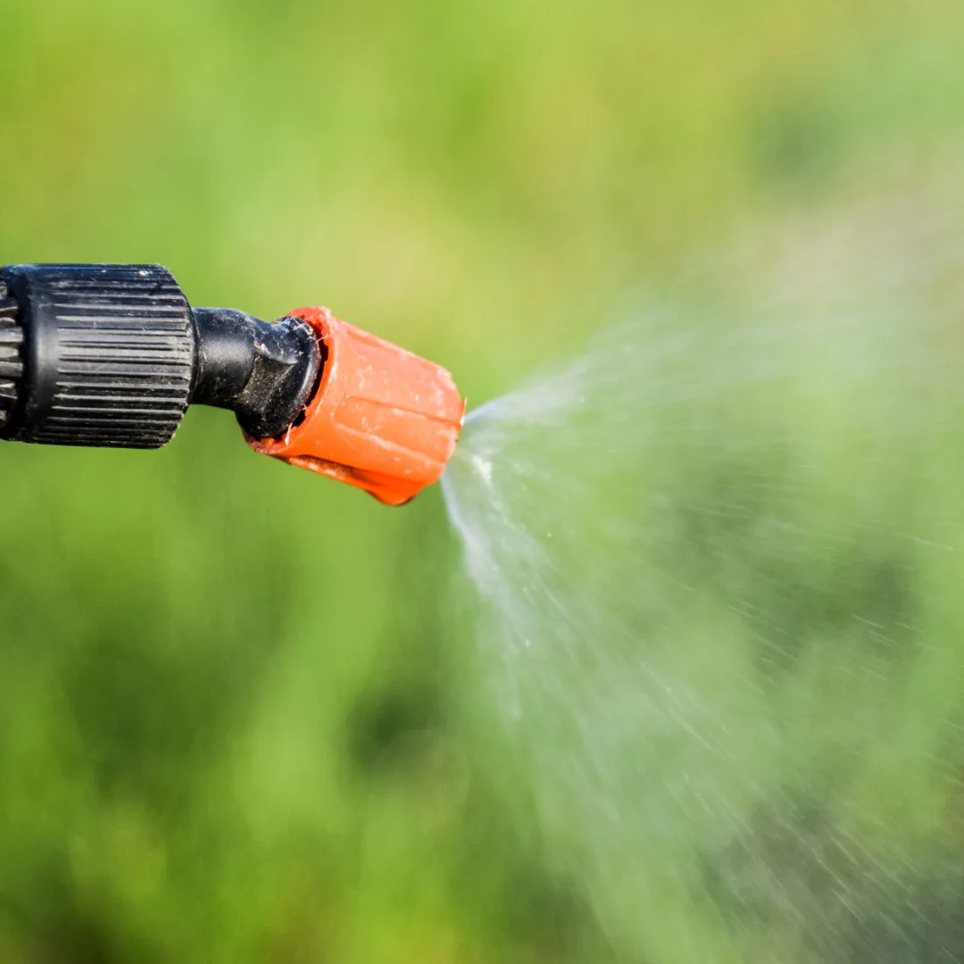 Lawn treatment being applied evenly across green turf