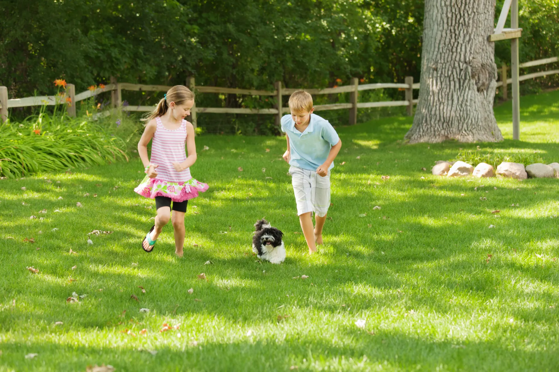 Family enjoying a thick green lawn after reseeding