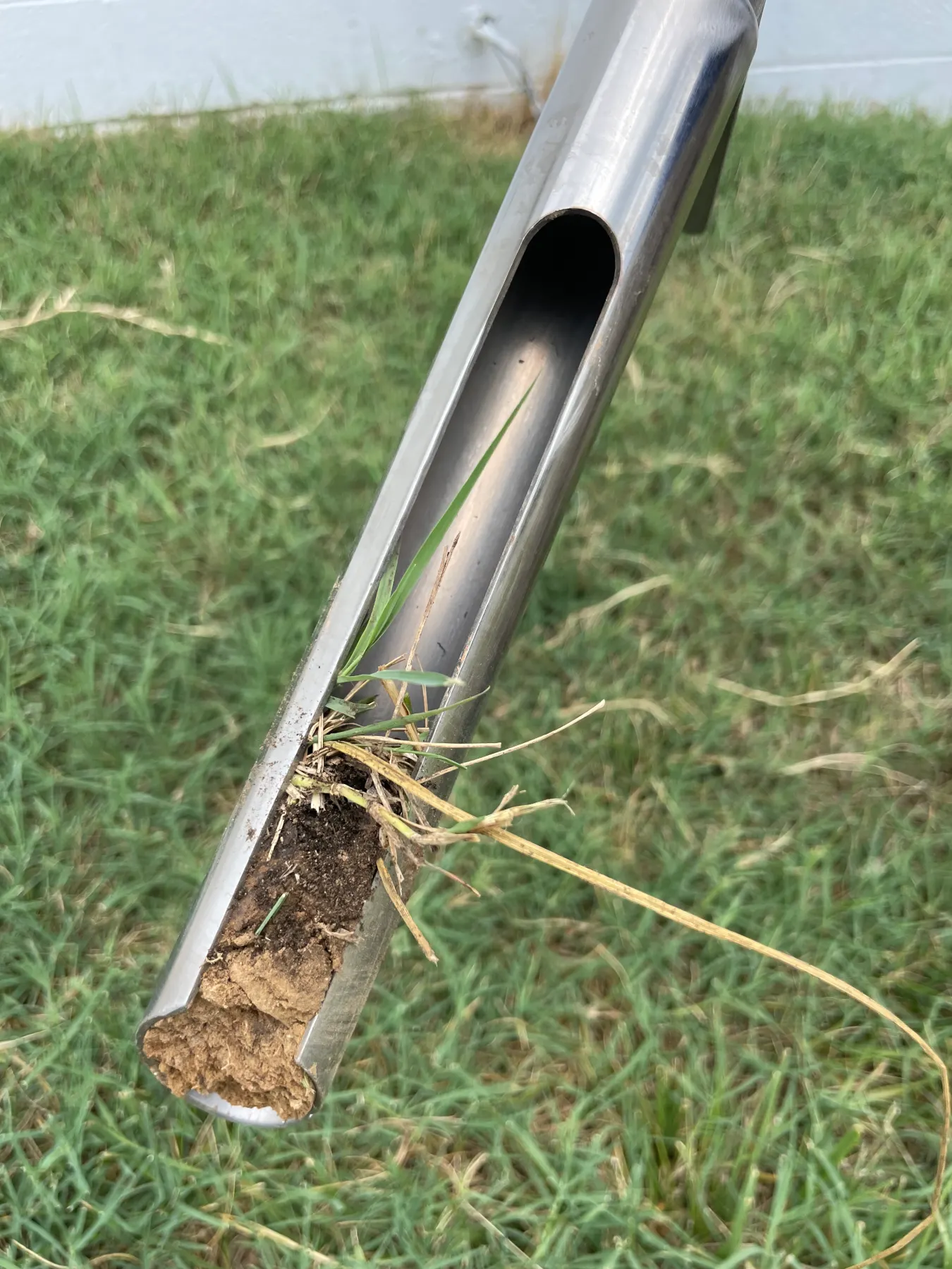 Sorensen technician collecting a lawn soil sample